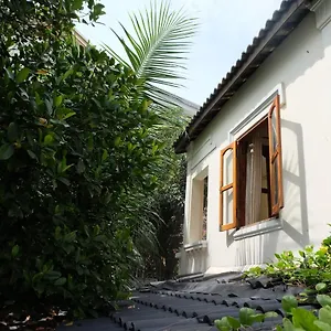 Гостевой дом Moon House Tropical Garden - Lavender